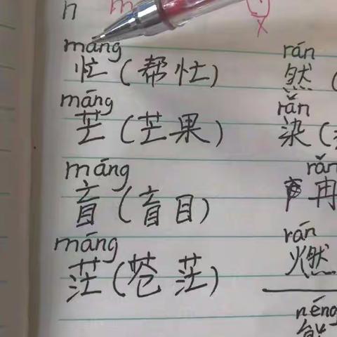 同音字拼读练习4