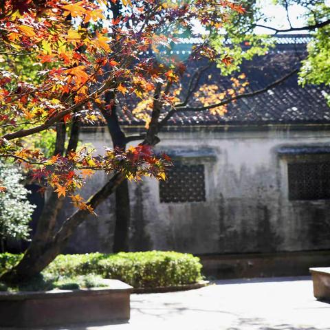 2022深秋行日记19——绍兴3