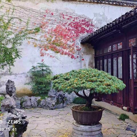 2022深秋行日记7——苏州1