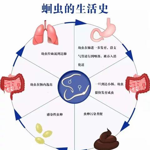 幼儿常见的寄生虫病