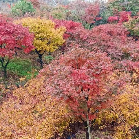 醉美四明山