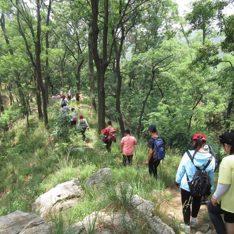 20200606盐山探索者畅游药乡森林公园