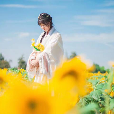 2022.9.28 向日葵花海古风