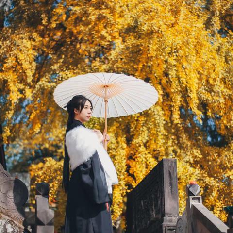 2022.10.22 慈云寺银杏古风人像