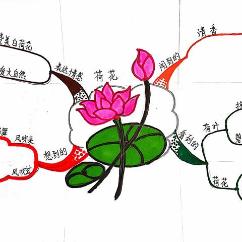 让思维产生碰撞,迸发出创造的火花——小学语文思维导图的运用