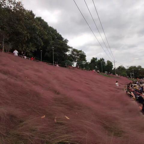 飘落在牛岗山坡的彩霞