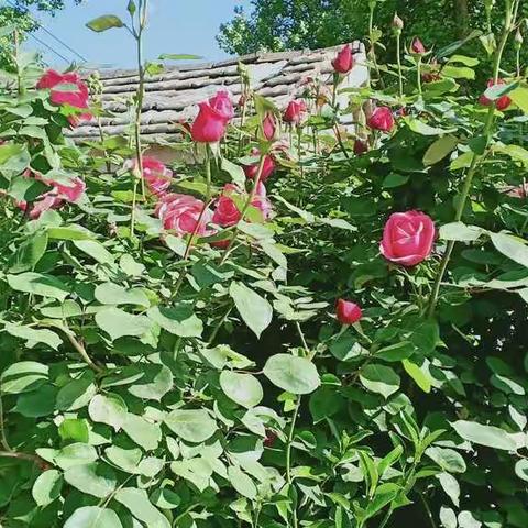 "五一"节快乐！