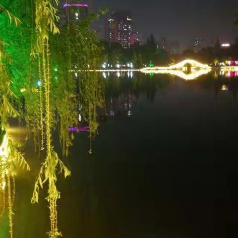                         安师大2019年小学校长综合素养提升研修