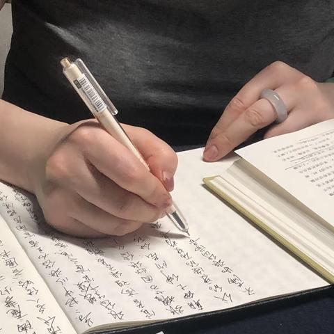 读前朝梦憶后感