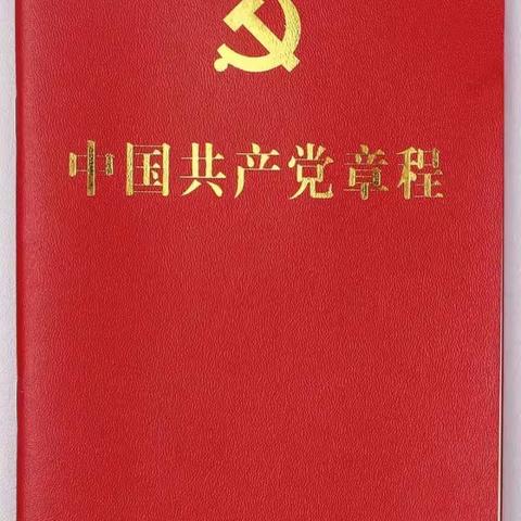 区科技局学习《中国共产党章程（修正案）》