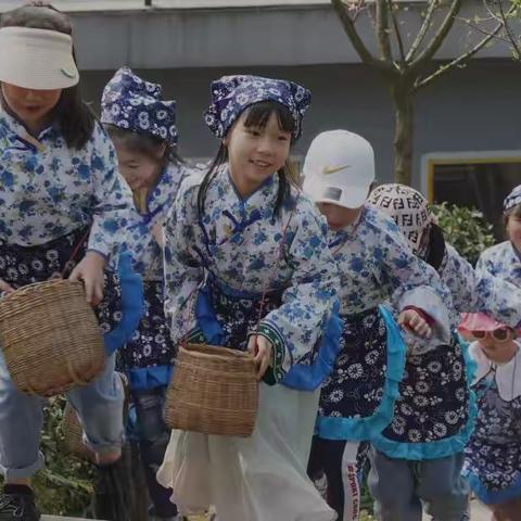 致远三班采茶活动