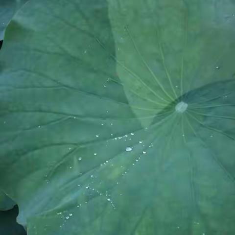 【活动回顾】夏至，再见