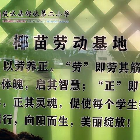 以劳养正，快乐实践——记陵水县椰林第二小学开心农场翻土篇（二十三）