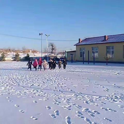 校园的雪景