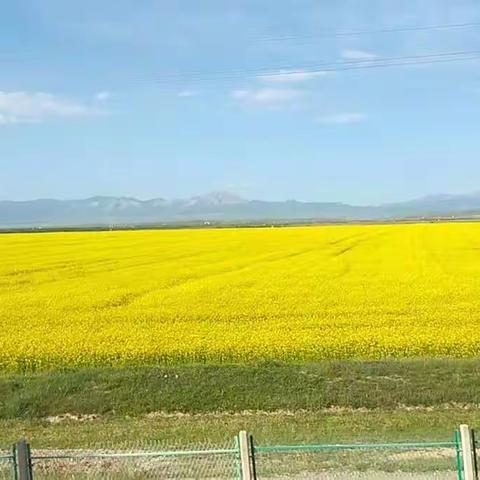 家庭教育每日分享  第60期 小孩不小(9)