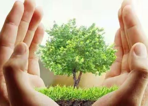 石家营中心小学党支部致全体师生和家长的一封信