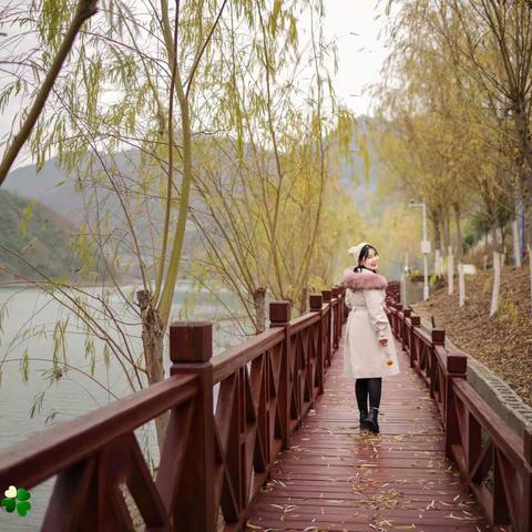 冬日向暖而行，樱花岛美景打卡，因您更美