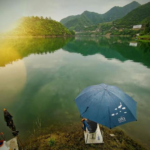 想度假又不想去太远，来房县樱花岛，大西沟进入，距城区一小时，赠送门票啦！