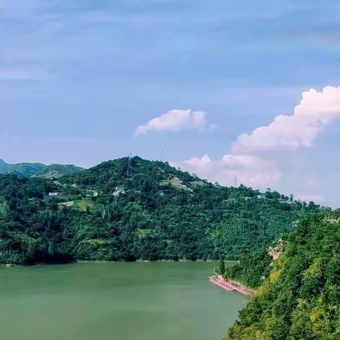 樱花岛——我们走着走着花就开了