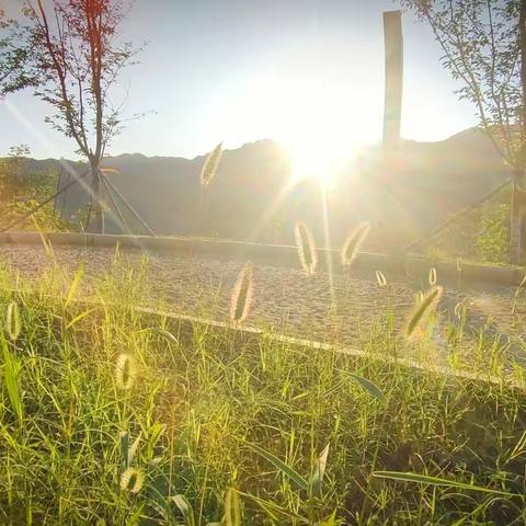 十堰又一网红打卡地来袭，福利来了！