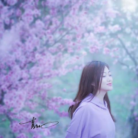 樱花岛度假区，三八女神，“樱”为有您！