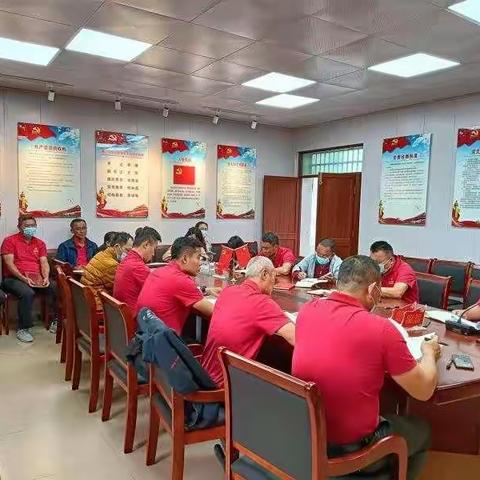 学习《中共中央国务院关于支持海南深化改革开放的指导意见》主题活动党日纪实