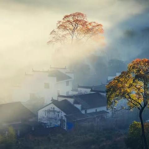 秋天里的两棵树！