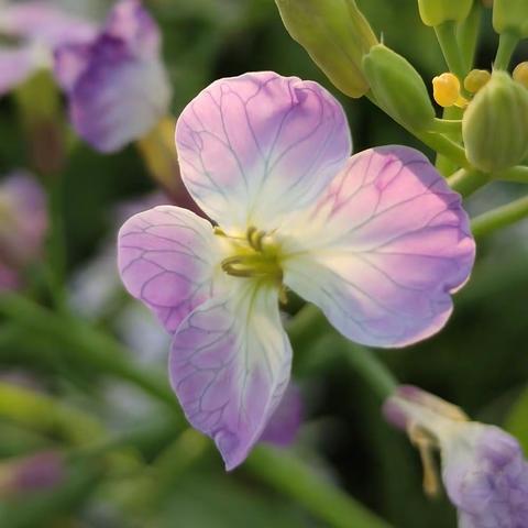 🇨🇳婺源石城楓情农家的美篇