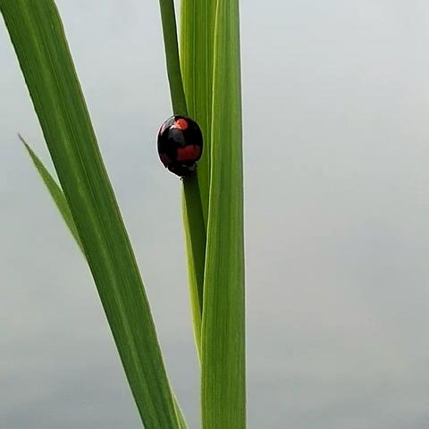 回顾2020年春夏秋冬