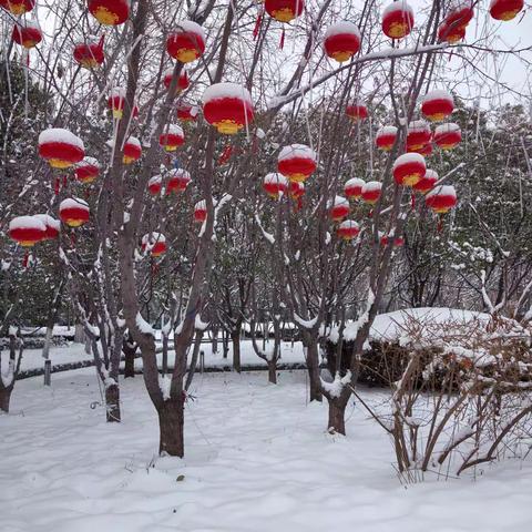 立春时节雪纷飞