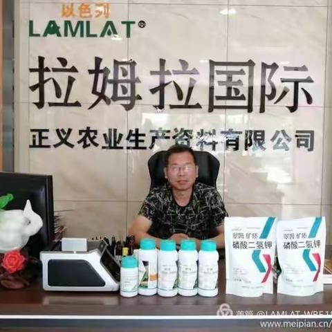 战狼队美篇3（100）