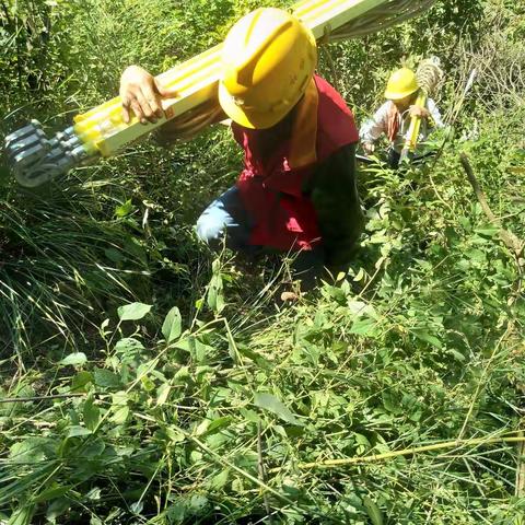 辰溪供电公司:党建举旗+新长田湾线路集中检修