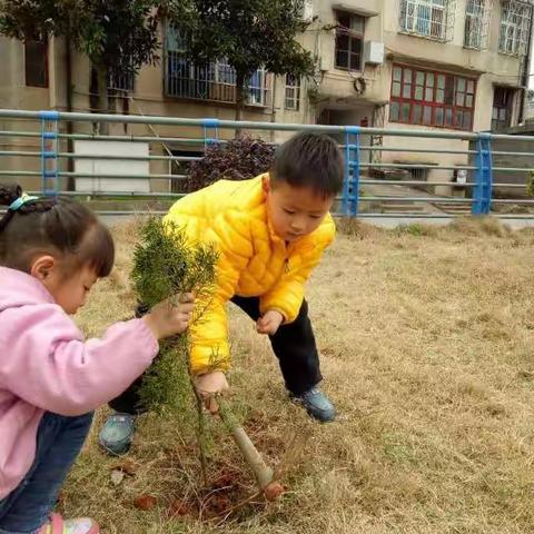             3月12植树节活动，开展我和（小树一起长大）中班宝贝们表现棒棒的！👍👍