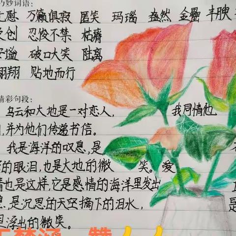 充实而快乐的暑假生活—昌乐县第二实验小学五年级语文暑假生活掠影