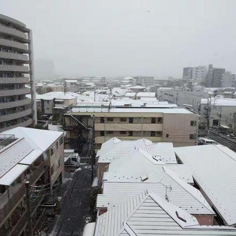 居家工作之重大局面