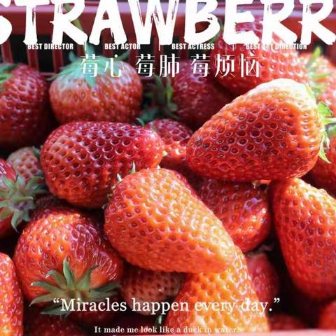 三月，中七班的草莓时光