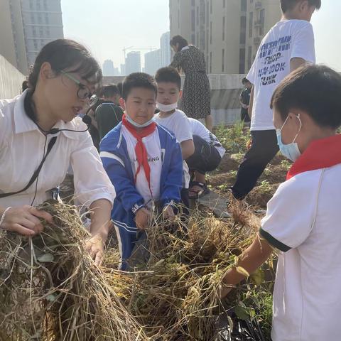 播种一片辛劳，收货一片希望