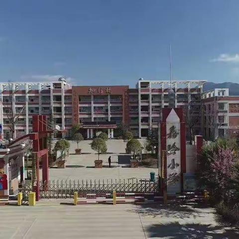 嘉玲小学2020学年下英语专项练习比赛