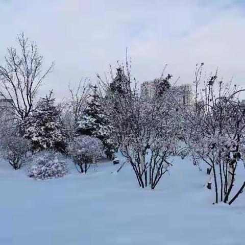 朝阳实验三年五班朱昱锦～我爱家乡，我爱冰雪