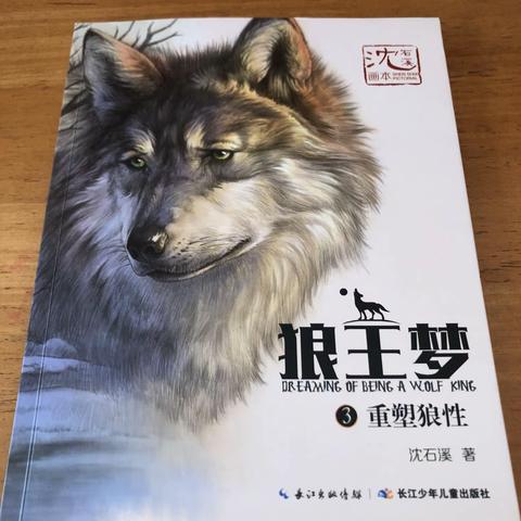 朝阳实验三年五班朱昱锦家庭读书会沈石溪作品《狼王梦》