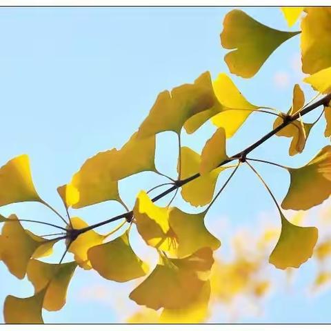 山海相约，情暖金秀—记2021年茂南区.金秀县教育教学研讨交流活动