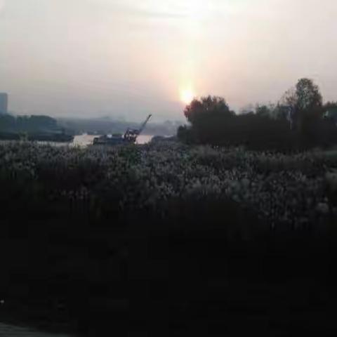 滨江景色美不胜收