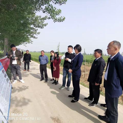 朱区长调研小麦赤霉病和防止耕地“非粮化”暨粮食保供工作