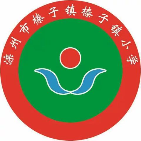 不负韶华，砥砺前行——榛子镇小学线上教学分享