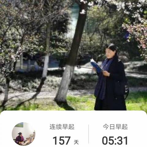 卉仑静羽|花开芬芳