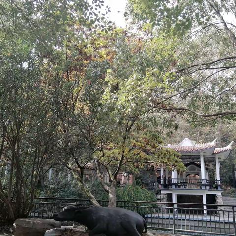 镜湖幼儿园小班走进赭山公园秋游篇——走向户外，亲近自然