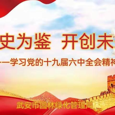 以史为鉴 开创未来 | 园林局举办深入学习贯彻党的十九届六中全会精神宣讲会