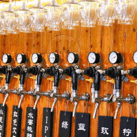 汉森熊爱酒日🍺，进店即送白啤一杯