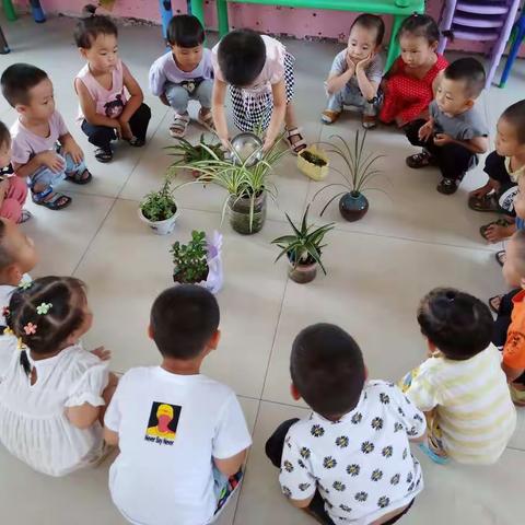 我是四芝兰幼儿园的小主人，爱护花草树木从我做起，童蒙养正，亲近自然，促进幼儿身心全面发展。