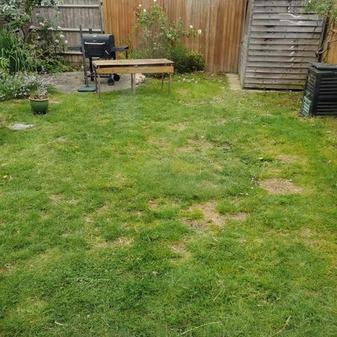 女儿家的花花草草